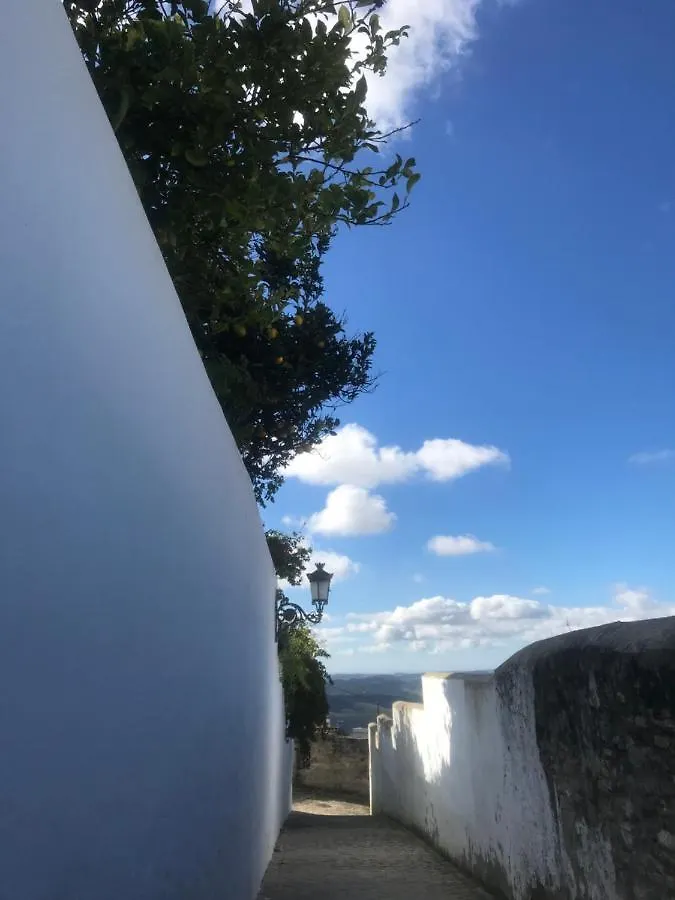 Casa Antigua - Terraza Con Vistas Al Mar Bed & Breakfast Medina-Sidonia 0*,  Spain